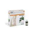 Dherbos Plantaggio Hb 20 Viales