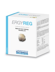 Nutergia Ergyreg 60 Sobres