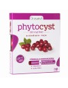 Drasanvi Phytocyst 30 Comp