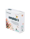 Pharmasor B-Complex 28 Comprimés