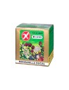Milvus Manzanilla Ducal 100 Tasses