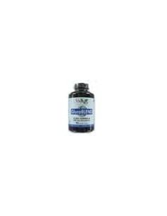 V.byotic Glucoblend Flex Formula 90 Caps