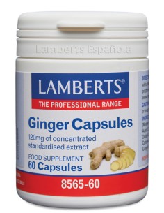 Lamberts Ginger Extracto Jengibre 60 Caps