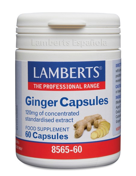 Lamberts Ginger Extracto Jengibre 60 Caps