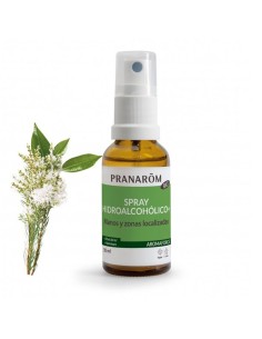 Spray Hydroalcoolique Pranarom 30 ml