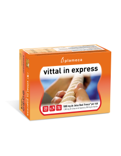 Plameca Vittal In Express