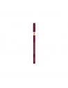 Lèvres Contour Edition 09 Plum It Up