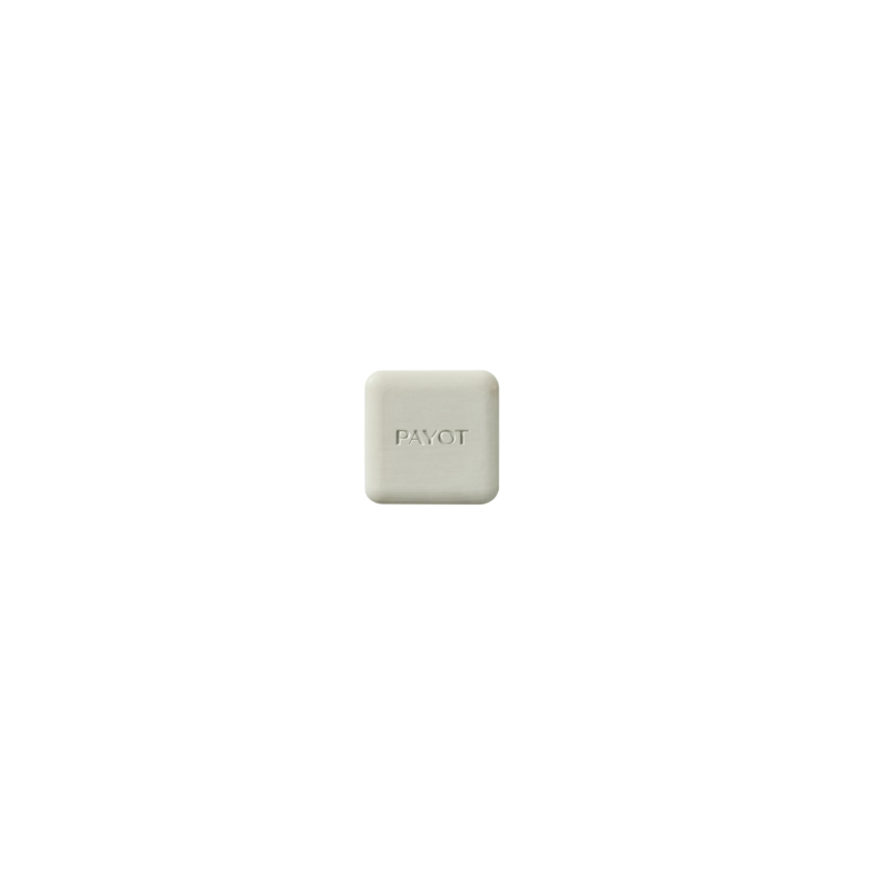 Payot Pâte Grise Limpiador Sólido Purificante 65g Payot Pâte Grise Limpiador Sólido Purificante 65g