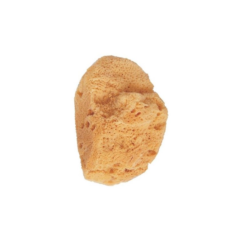Eponge de bain Beter Natural Marine Sponge Eponge de bain Beter Natural Marine Sponge