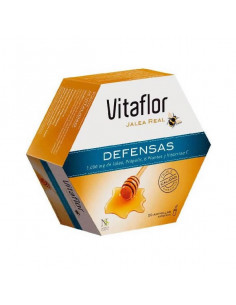 Vitaflor Gelée Royale 20 Ampoules 200ml