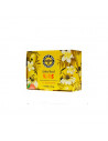 Black Bee Jalea Real Kids 20 Ampollas