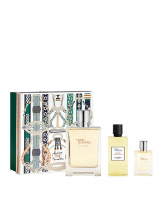 Hermès Hermes Terre Eau Givrée Epv 100ml Set Bc